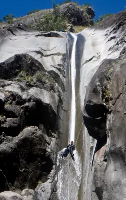 CanyonFleurJaune - 1.webp